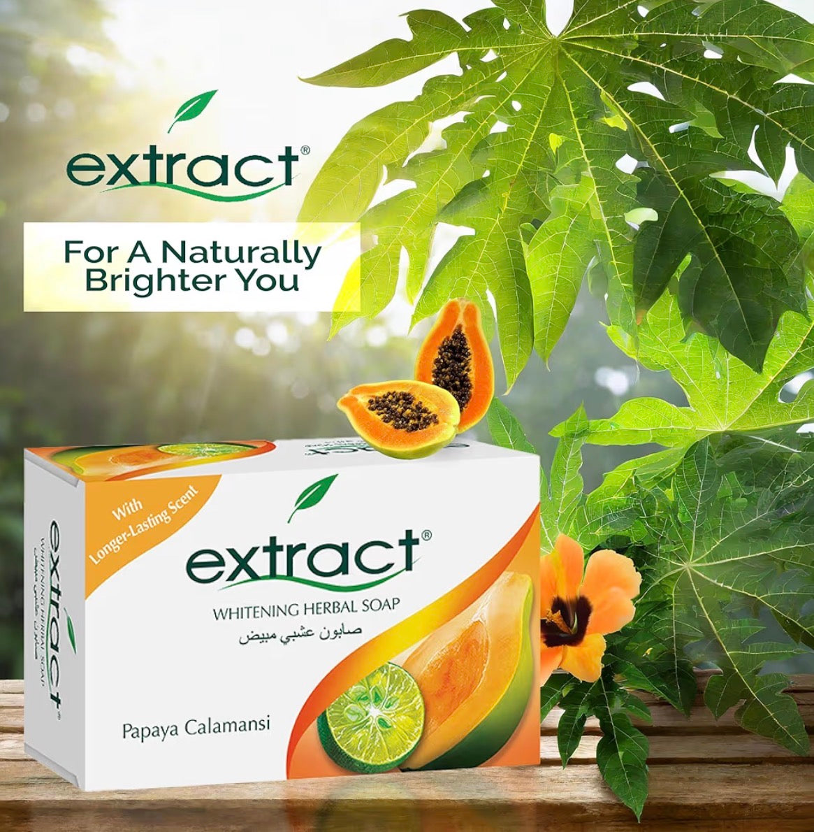 4 in 1 Extract Papaya Calamansi Whitening Herbal Soap with Langerhans Cells for Brighter Skin
